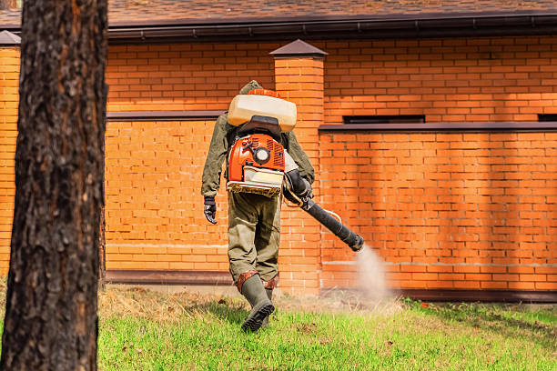 Bed Bug Clearance Verification and Documentation in Los Alamitos
